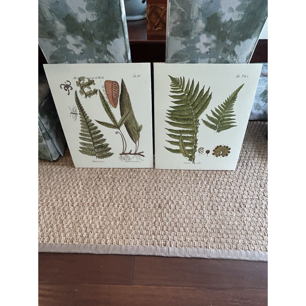 Pair of Lg Botanical Fern Prints mounted onto thick rigid heavy weight boards